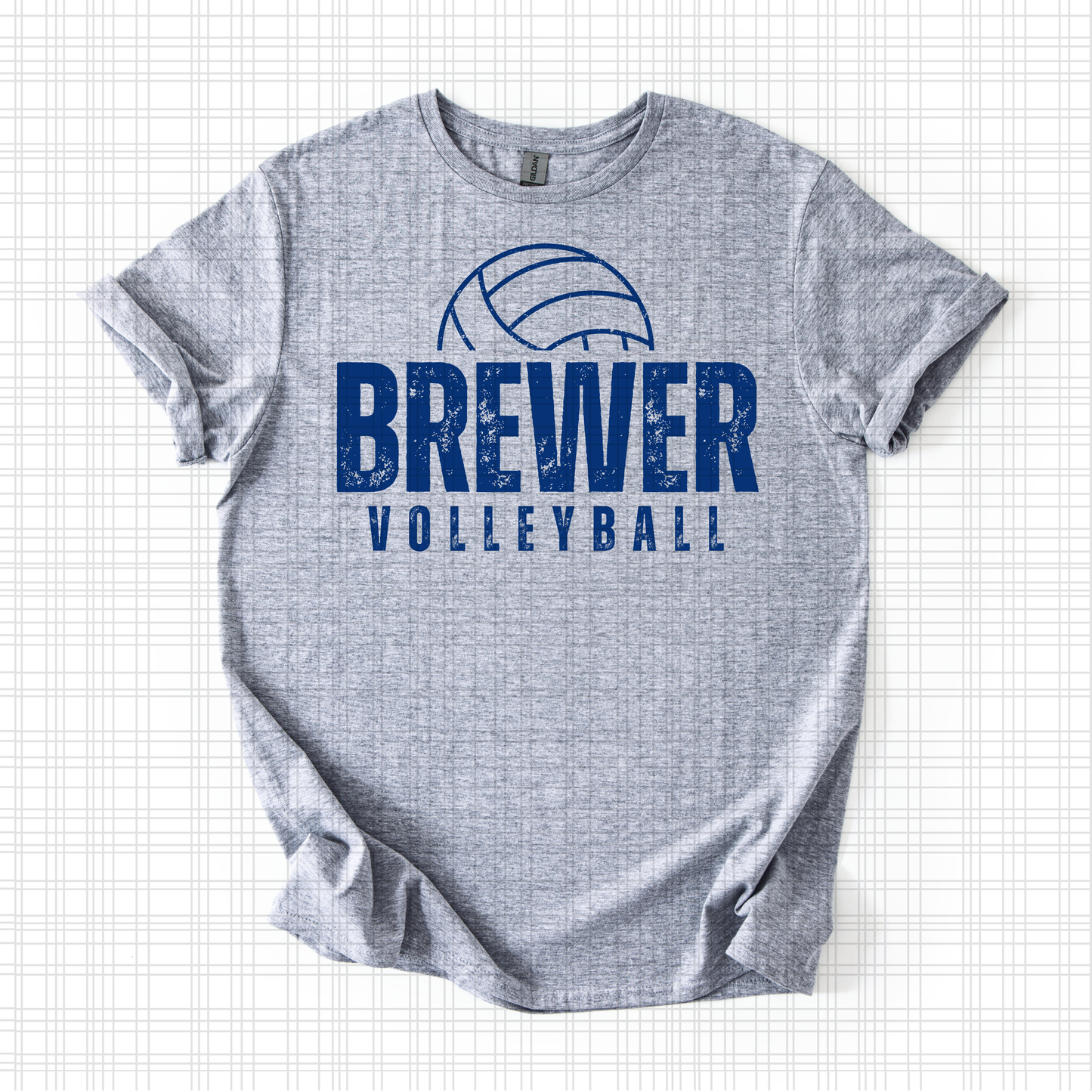 Brewer Volleyball
