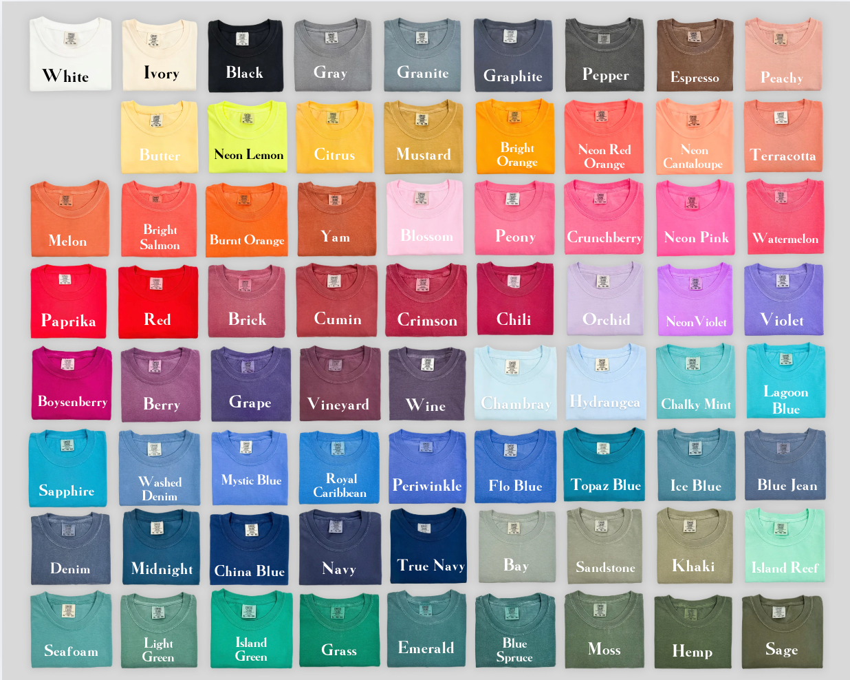 Color Stripe Grade T-shirt
